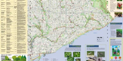 Карта на паркови и пешачки патеки Исток Торонто