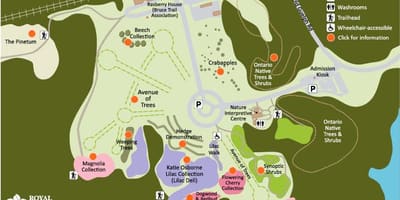 Карта на RBG Arboretum