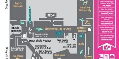 Карта на Кралската Онтарио Музеј ниво 2